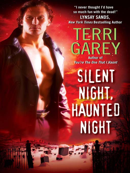 Title details for Silent Night, Haunted Night by Terri Garey - Available